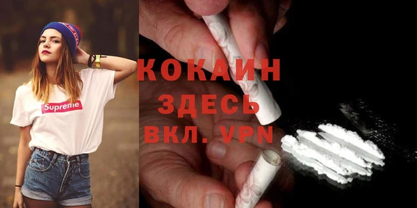 стаф Покачи