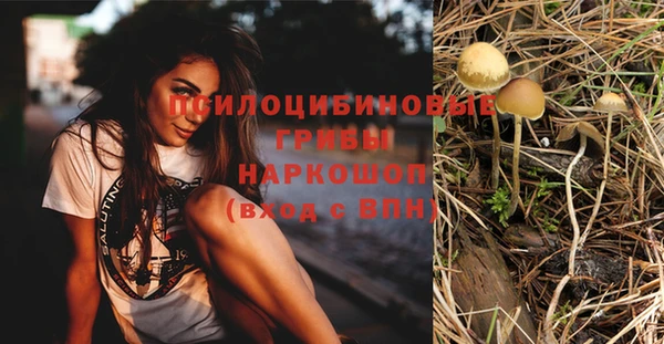 ГАЛЛЮЦИНОГЕННЫЕ ГРИБЫ Алексин