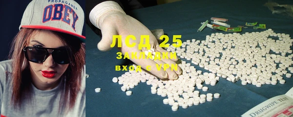 спайс Алзамай