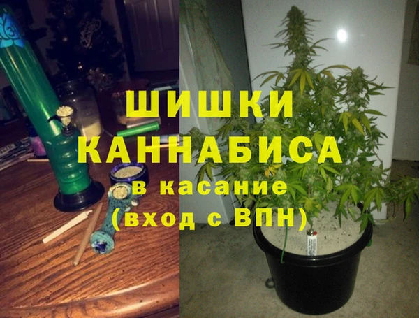 ГАЛЛЮЦИНОГЕННЫЕ ГРИБЫ Алексин