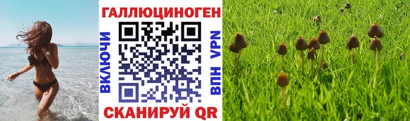 Псилоцибиновые грибы MAGIC MUSHROOMS  купить  сайты  Сосновка 